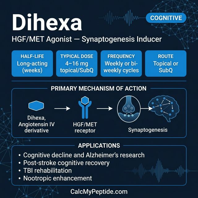 Dihexa Dosing Quick Reference Dihexa dosing guide infographic showing dose range 10-40 mg/day (oral/intranasal), half-life ~2-4 hours (estimated), and reconstitution example