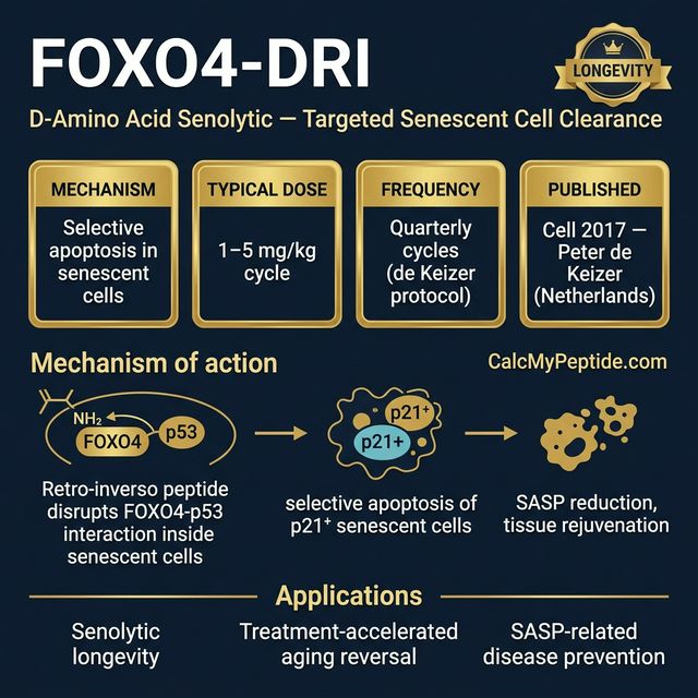 FOXO4-DRI Dosing Quick Reference FOXO4-DRI dosing guide infographic showing dose range 5-20 mg/kg body weight, half-life ~2-6 hours (estimated), and reconstitution example