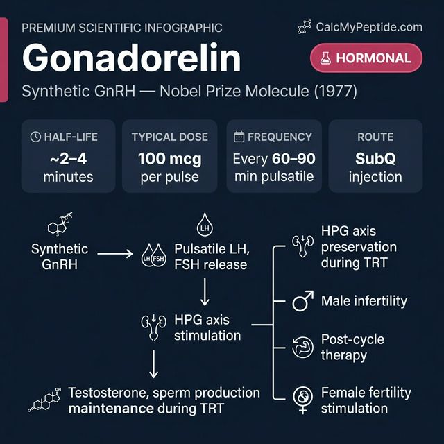 Gonadorelin Dosing Quick Reference Gonadorelin dosing guide infographic showing dose range 100-500 mcg/day, half-life ~4 minutes, and reconstitution example