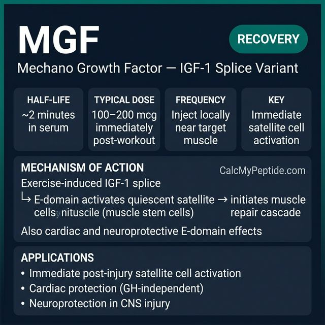 MGF Dosing Quick Reference MGF dosing guide infographic showing dose range 100-200 mcg per site, half-life ~5-7 minutes, and reconstitution example