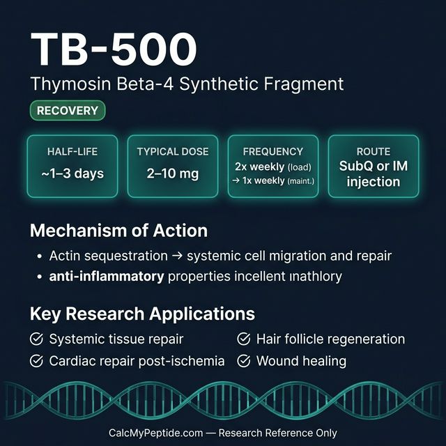TB-500 Dosing Quick Reference TB-500 dosing guide infographic showing dose range 2-5 mg twice weekly, half-life ~2 hours (active metabolites longer), and reconstitution example